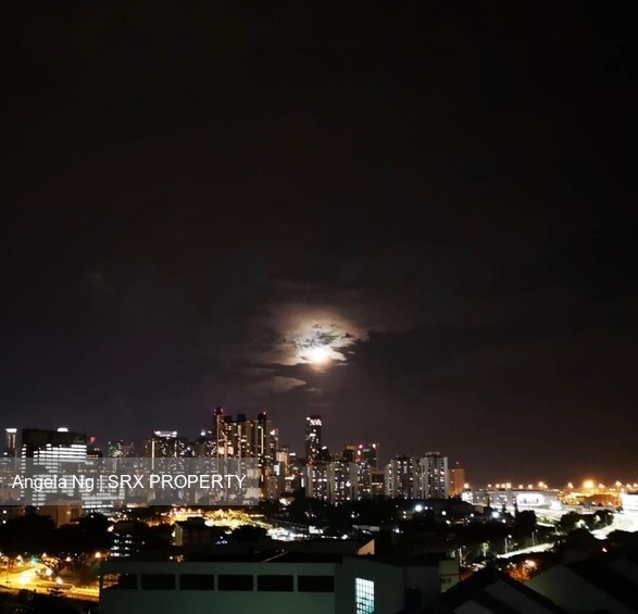 Blk 113 Bukit Purmei Road (Bukit Merah), HDB 4 Rooms #200888772